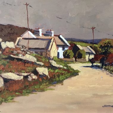 Alex McKenna was born in North County Dublin but has taken the rural life of the West of Ireland